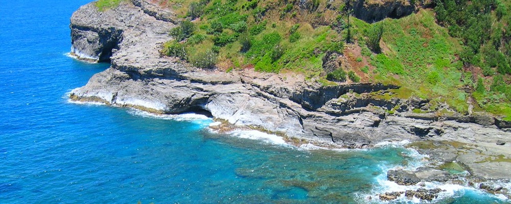 Hawaiian Overlook
